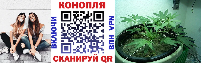 Где можно купить наркотики Сочи Cocaine  МЕФ  A-PVP  Гашиш 
