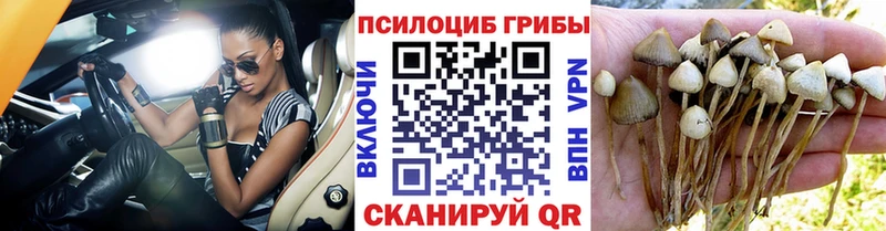 цена наркотик  Сочи  МЕГА ССЫЛКА  Псилоцибиновые грибы Magic Shrooms 